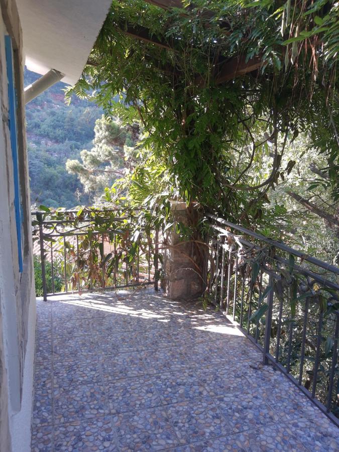 Sea-Side Old Stone Villa With A Private Garden Budva Exterior photo