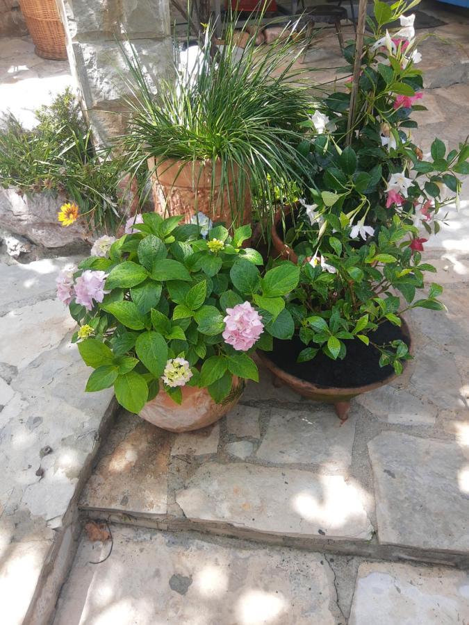 Sea-Side Old Stone Villa With A Private Garden Budva Exterior photo